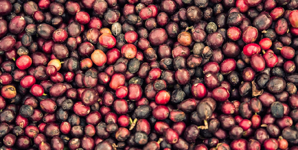 Yunnan Menglian Banka Natural