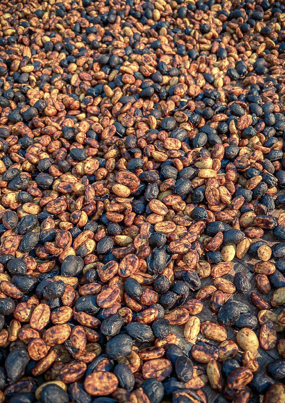 Yunnan Xishuangbanna Guiben Honey