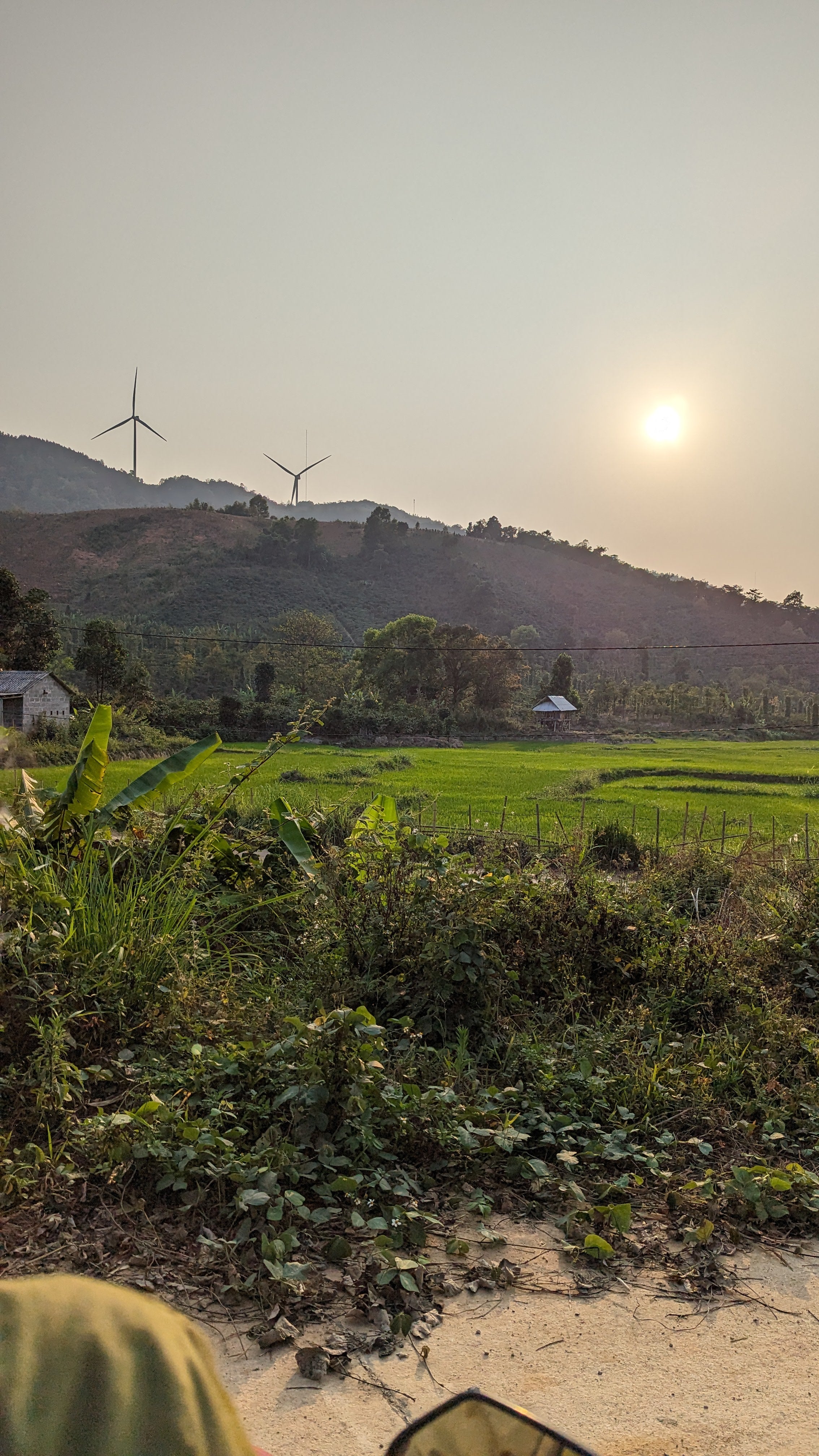 Vietnam 96B Liberica Anaerobic Natural