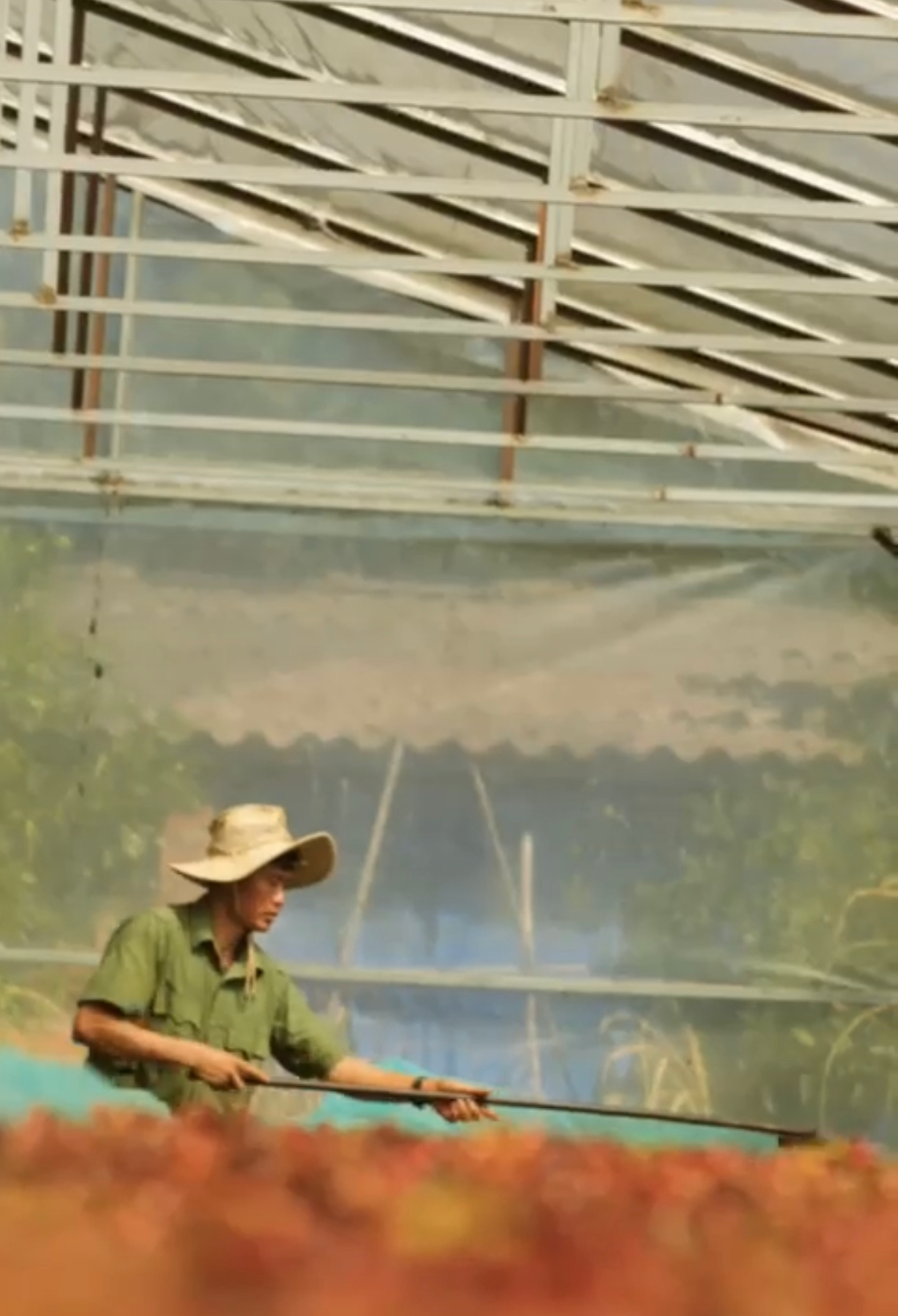 Vietnam Future Farm Anaerobic Natural