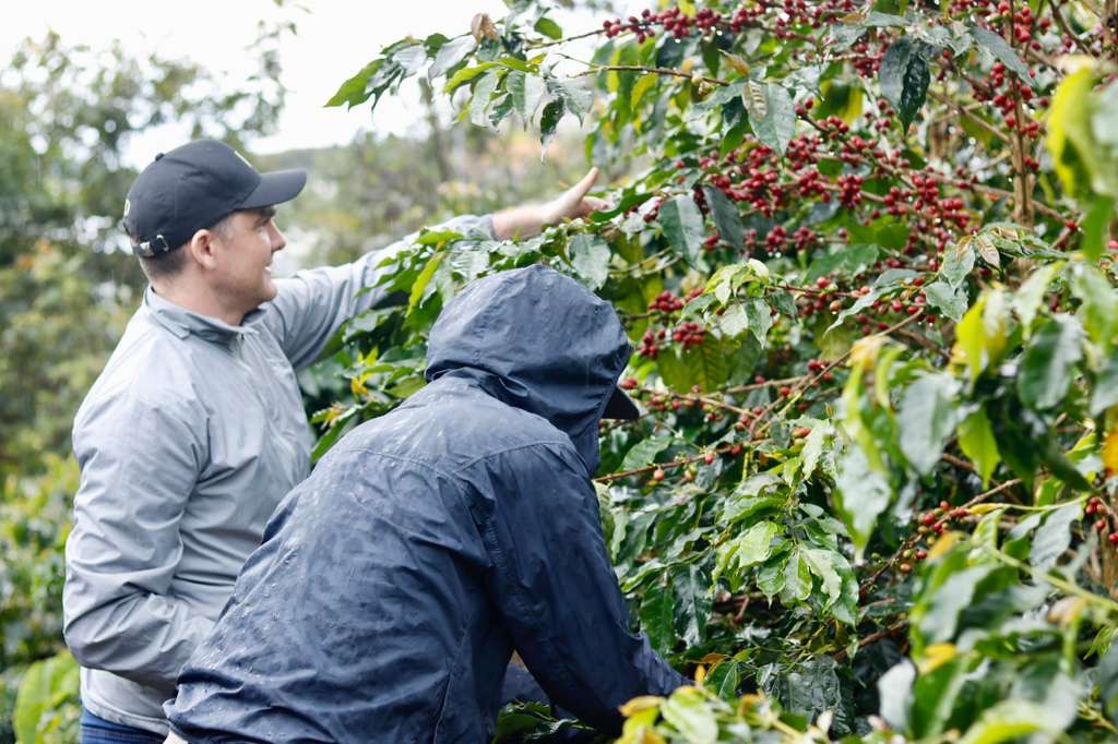 Vietnam Vuong Family Java Anaerobic Natural
