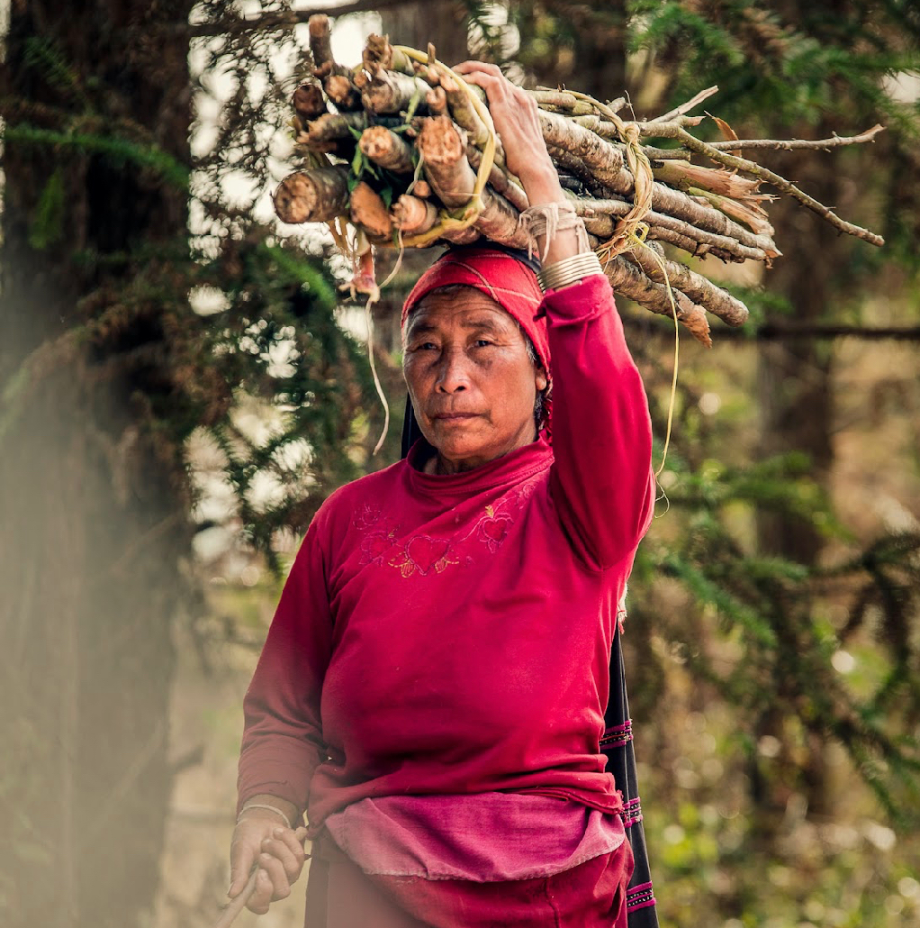Yunnan Xishuangbanna Guiben Honey