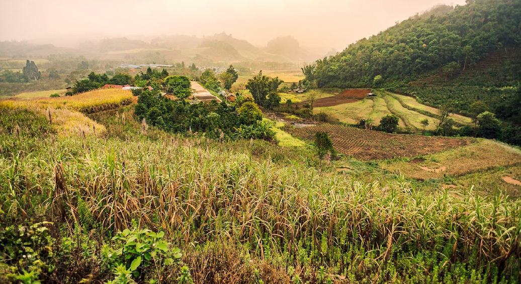 Yunnan Menglian Badu Natural