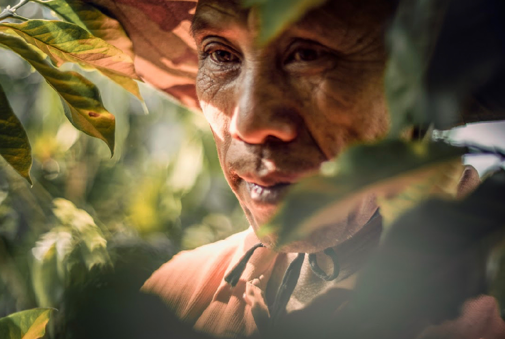 Yunnan Xishuangbanna Guiben Honey