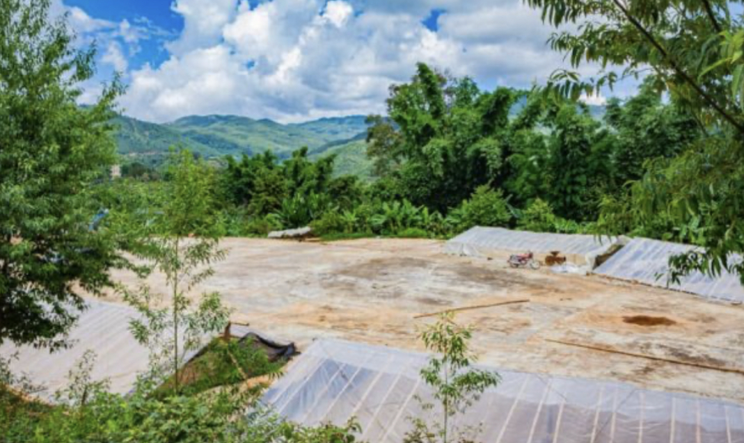 Yunnan Menglian Dongka Washed