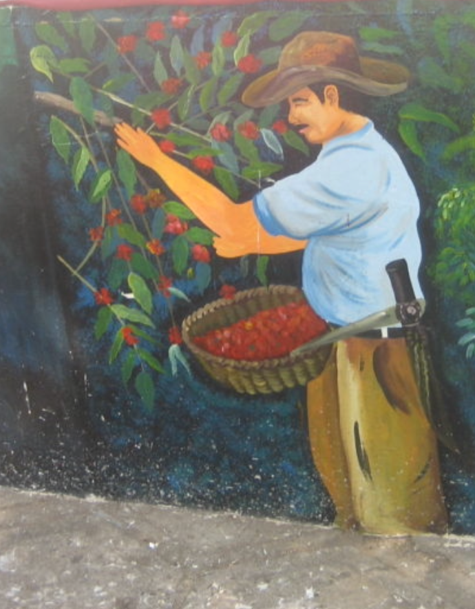 El Salvador El Carmen Yellow Bourbon Washed