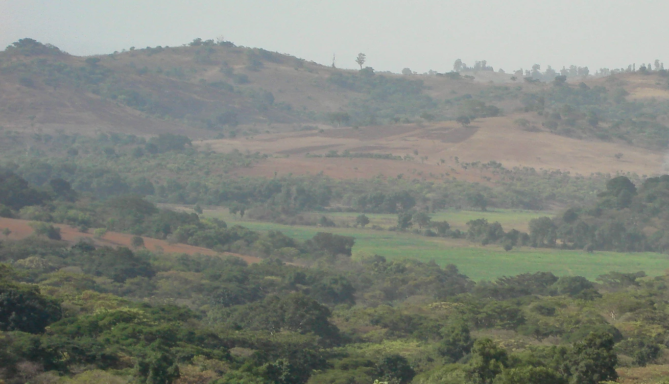 Ethiopia Gidami Asikana Natural