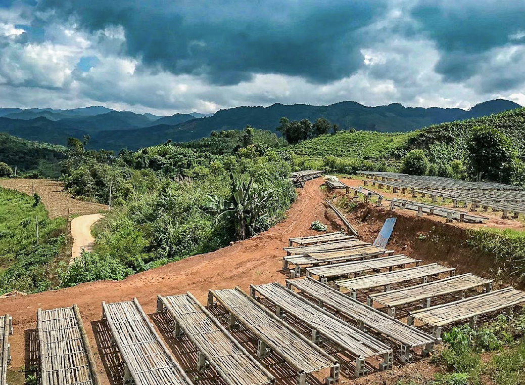 Yunnan Xishuangbanna Guiben High Ferment Natural