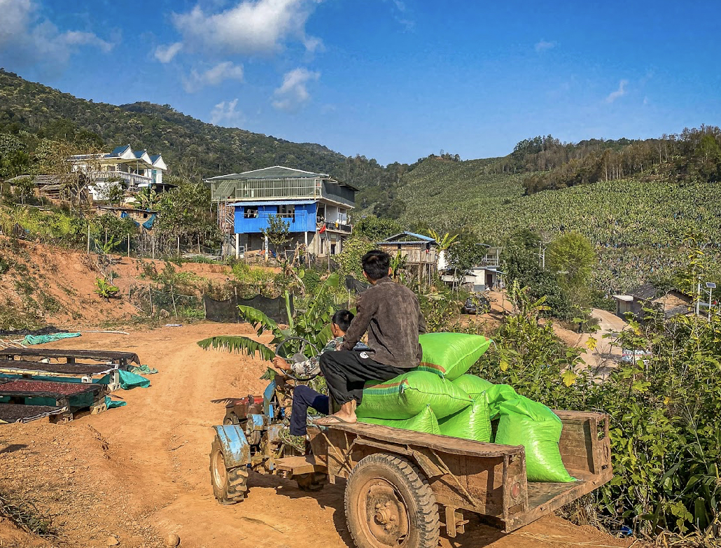 Yunnan Xishuangbanna Guiben Natural