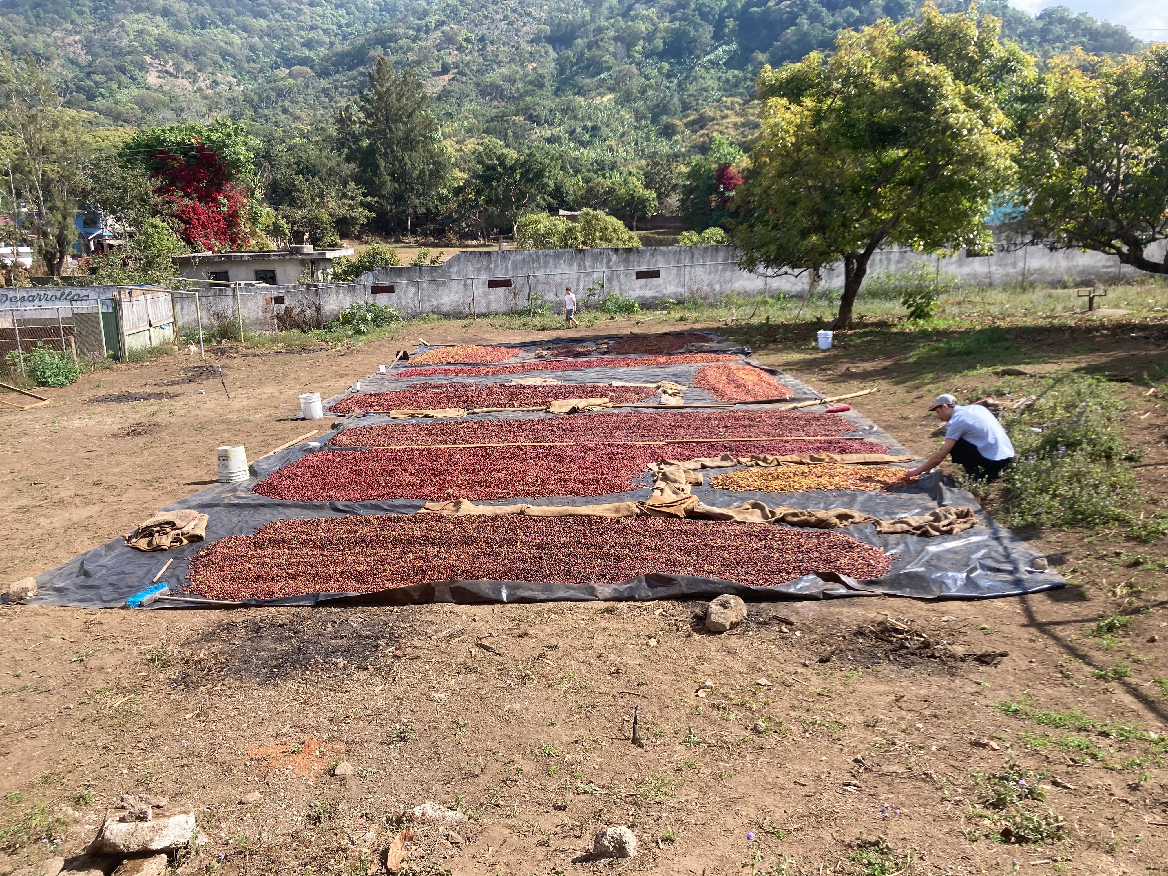 Mexico Nayarit Grupo Terruño Natural