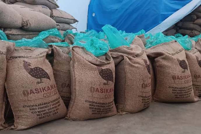 Ethiopia Gidami Asikana Natural