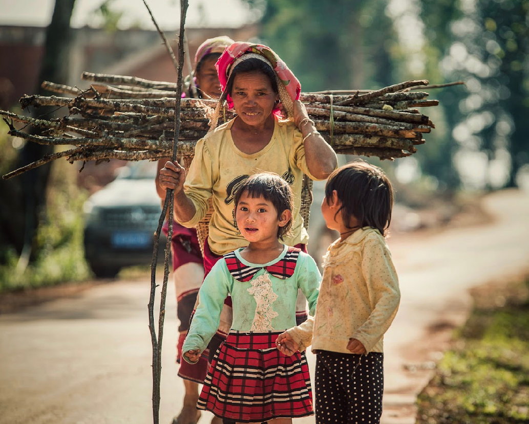 Yunnan Xishuangbanna Guiben High Ferment Natural
