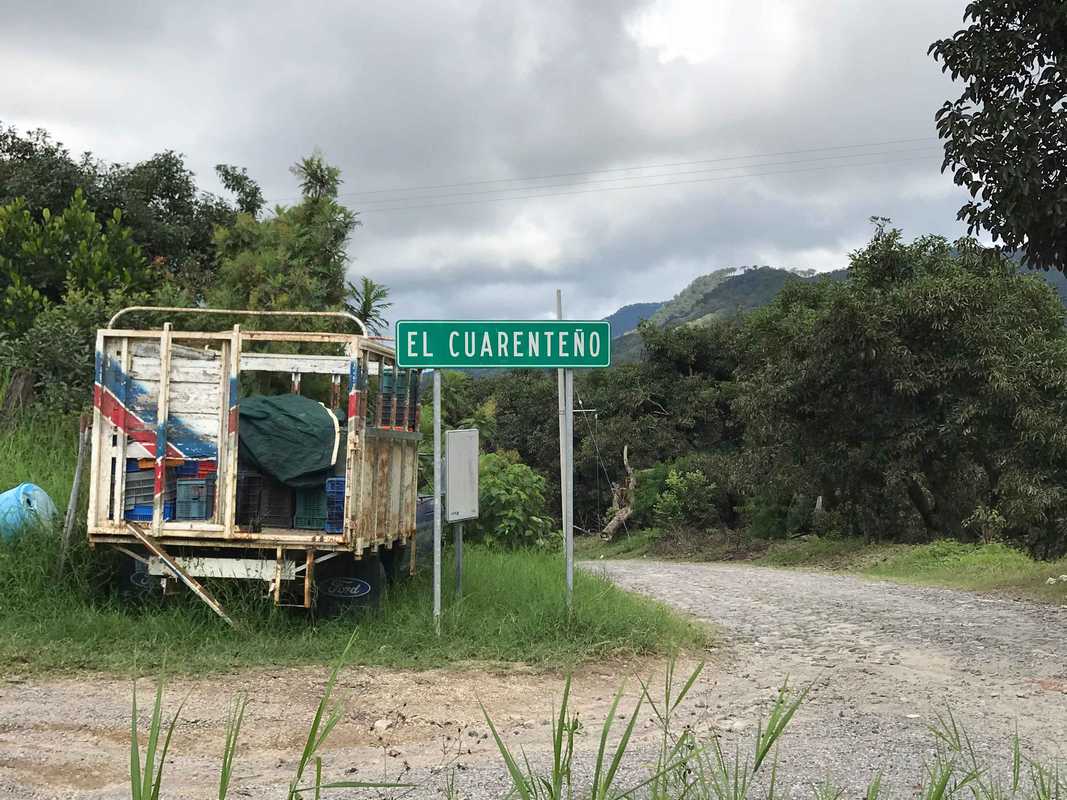 Mexico Nayarit Gruppo Terruño Washed