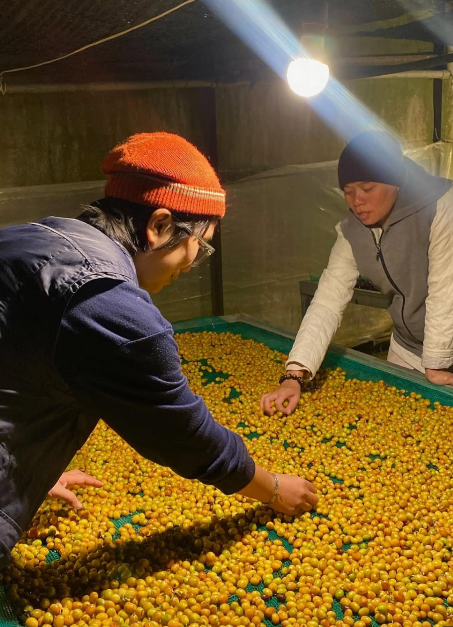 Vietnam Tram Hành ThyThy Yeast Anaerobic