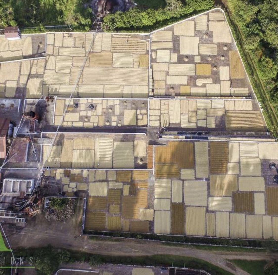 El Salvador El Carmen Anaerobic Gesha