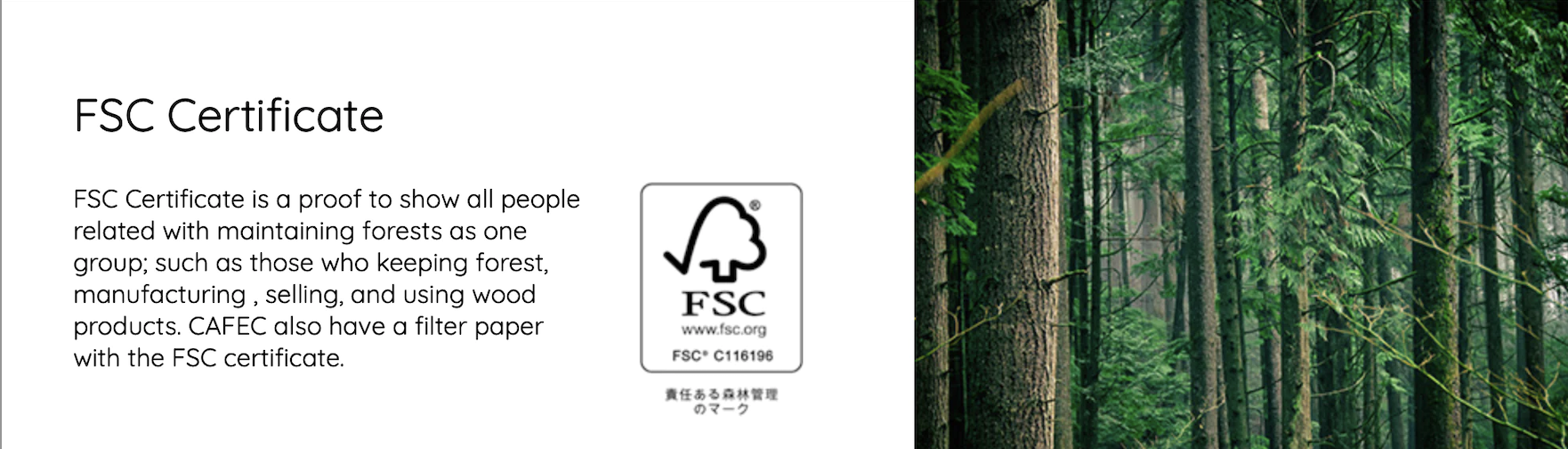 Cone Filter Paper -4 cup CAFEC Abaca