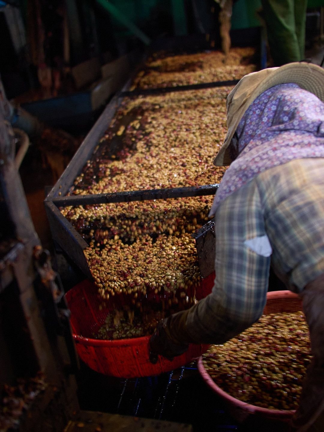 Vietnam Future Farm Anaerobic Honey
