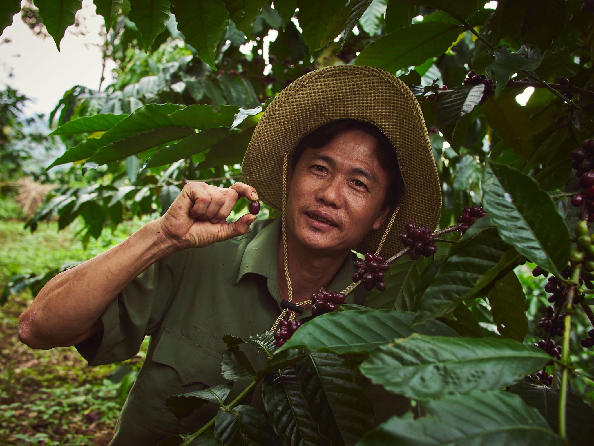 Vietnam Future Farm Anaerobic Natural