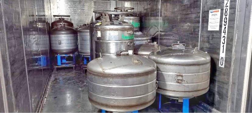 Vietnam Future Farm Anaerobic Natural