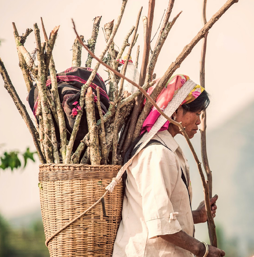 Yunnan Menglian Dongka Washed