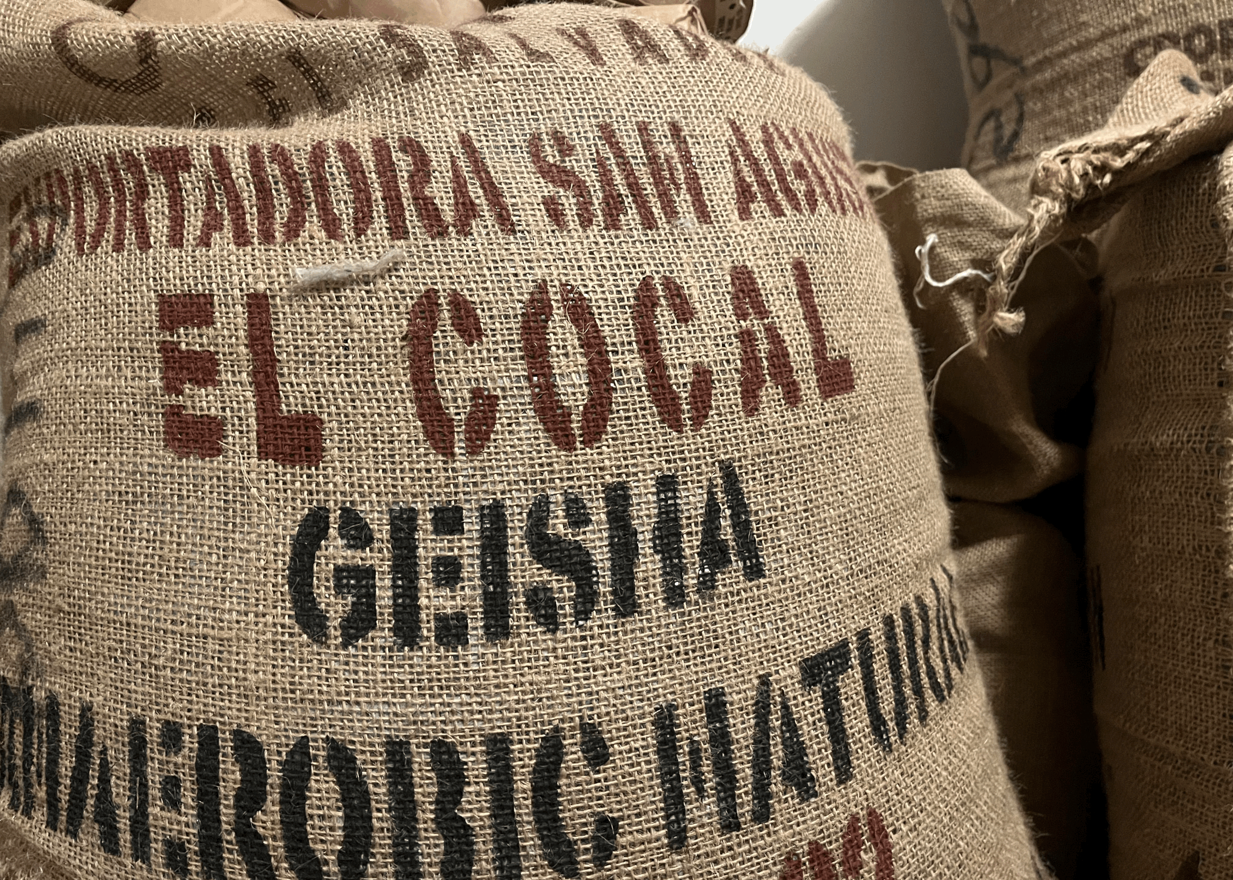 El Salvador El Carmen Anaerobic Gesha